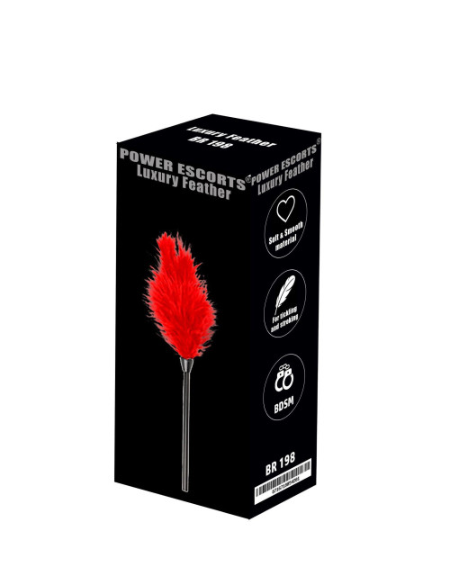 Luxury feather red