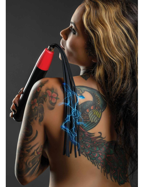 Electro Wand Whip