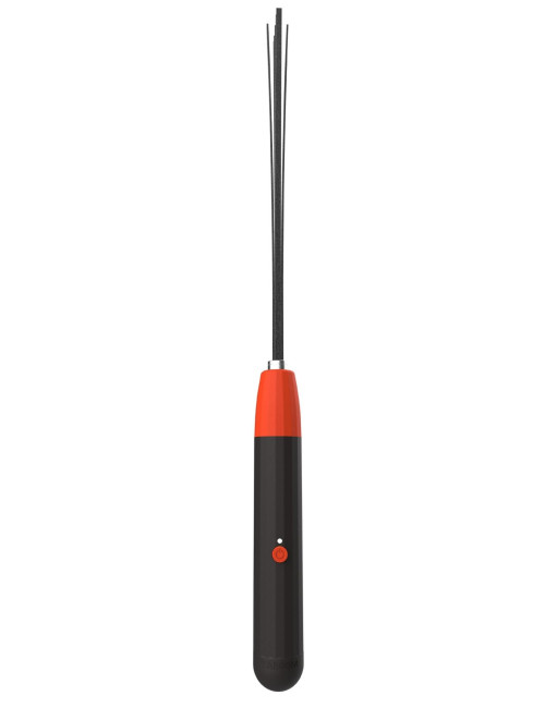 Electro Wand Whip