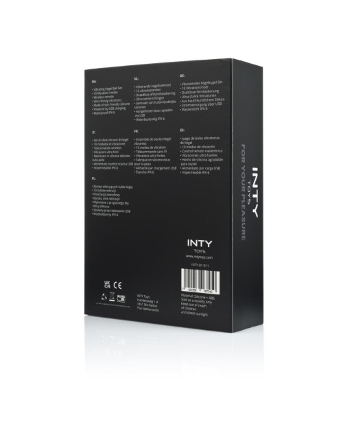 INTY Toys - Blaze