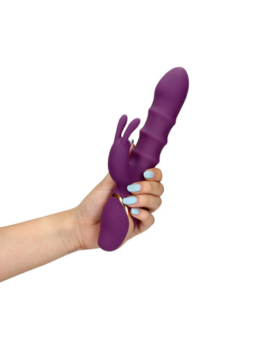 3 Up-and-Down Moving Rings Vibrator
