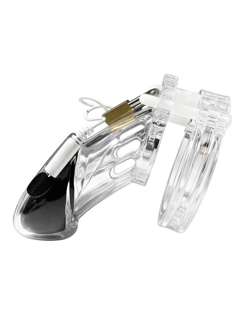Hidden Desire Electro Cock Cage
