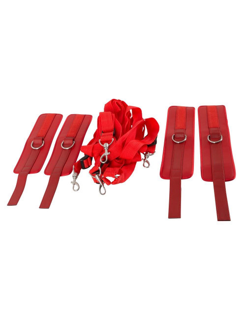Bad Kitty Bed Restraint Set