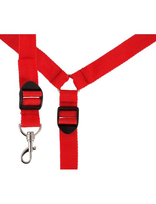 Bad Kitty Bed Restraint Set