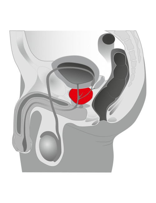 Plug/prostata-Joystick Prostata Booster, black