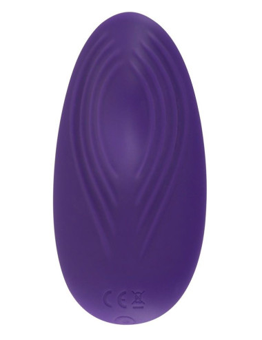 Sweet Smile RC Panty Vibrator