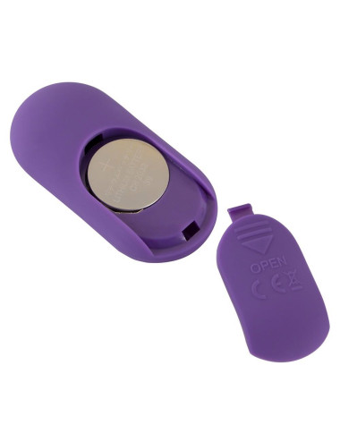 Sweet Smile RC Panty Vibrator