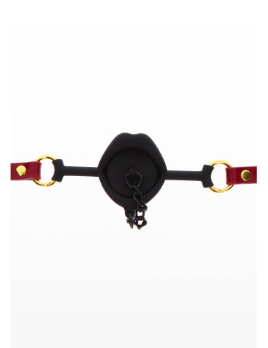 Kinky Gag with Plug Red