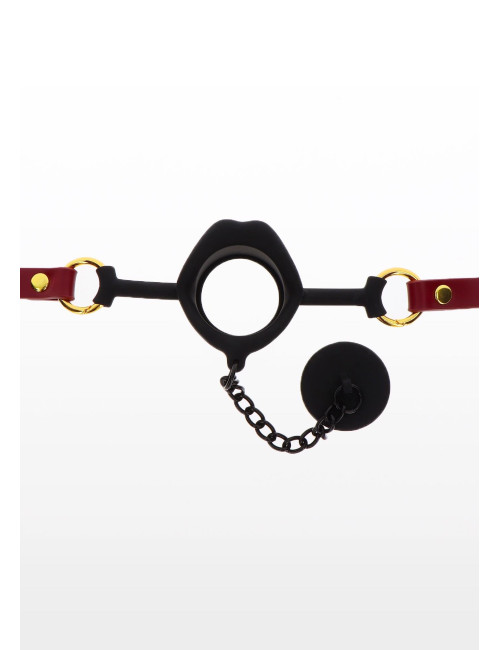 Kinky Gag with Plug Red