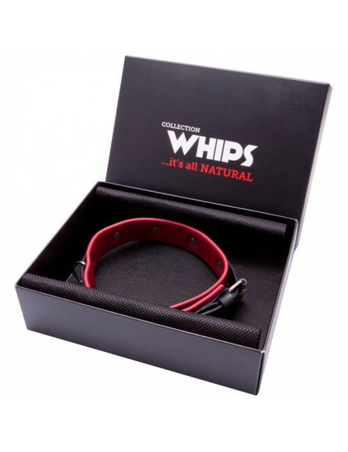Whips Collection Obroża damska średnia ze smyczą