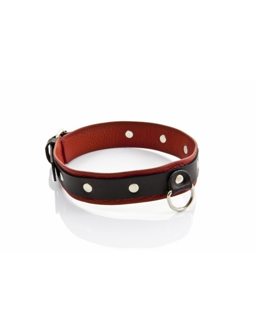 Whips Collection Obroża damska średnia ze smyczą
