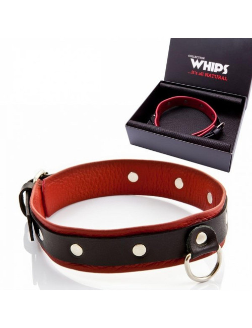 Whips Collection Obroża damska średnia ze smyczą