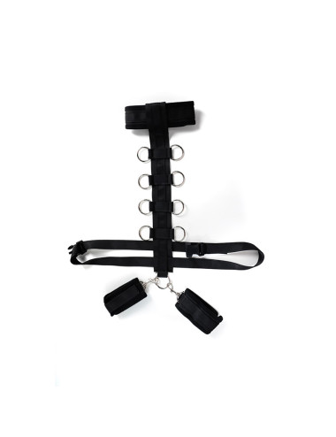 Harness with adjustable neck, belt and breastplate with rings