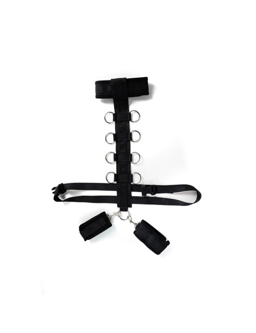 Harness with adjustable neck, belt and breastplate with rings