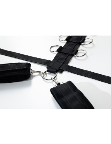 Harness with adjustable neck, belt and breastplate with rings
