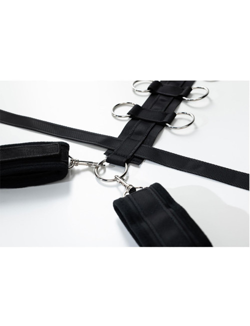 Harness with adjustable neck, belt and breastplate with rings