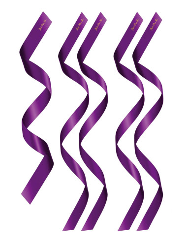 PACK HEADBANDS 1 + 4 PURPLE (Size: TU)