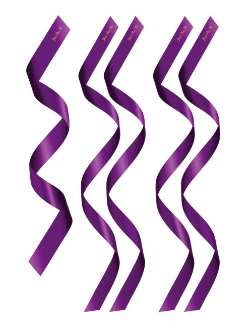 PACK HEADBANDS 1 + 4 PURPLE (Size: TU)