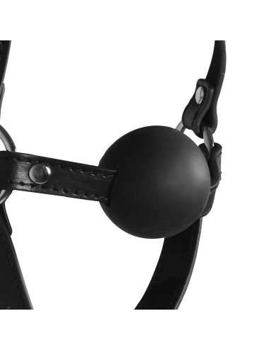 Blindfolded Head Harness with Solid Ball Gag - Black