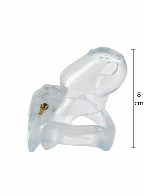 Clear Control Cock Cage Regular