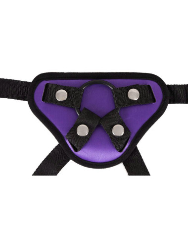 Universal Harness + 3 Rings