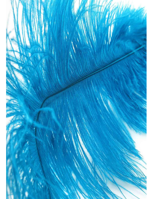Double Feather Tickler Blue