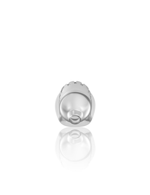 Model 29 - TPE Chastity Cage - Transparent