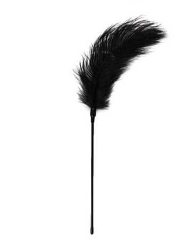 Pejcz-Black Feather Tickler