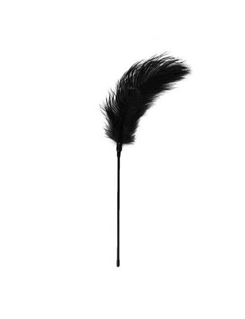 Pejcz-Black Feather Tickler