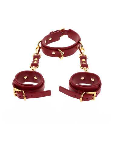 D-Ring Collar and Wrist Cuffs Red