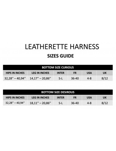 LEATHERETTE HARNESS CURIOUS
