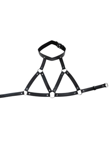 Adjustable neck and chest harness