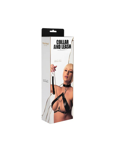 Collar with detachable leash