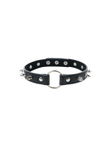 Adjustable collar with spikes