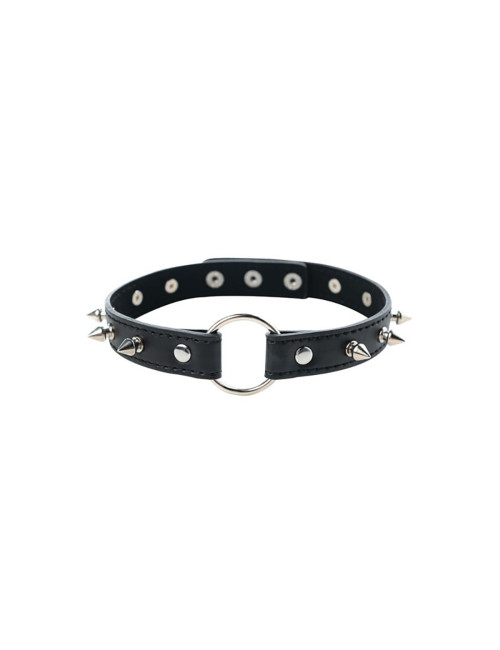 Adjustable collar with spikes