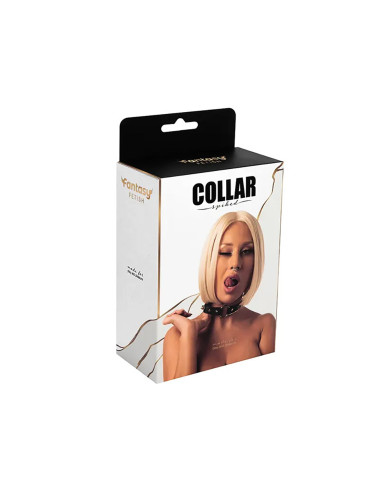 Adjustable collar with spikes