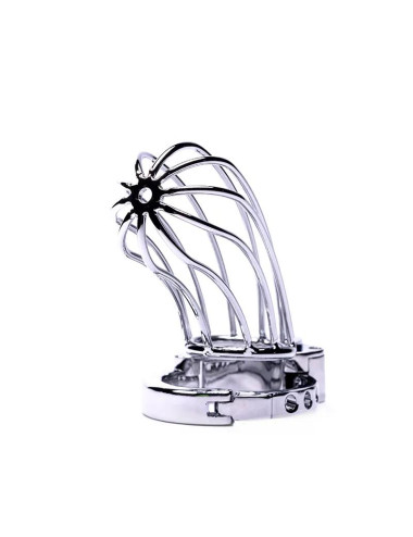 Stainless Steel Penis Cage 2 with Advanced Locking Mechanism