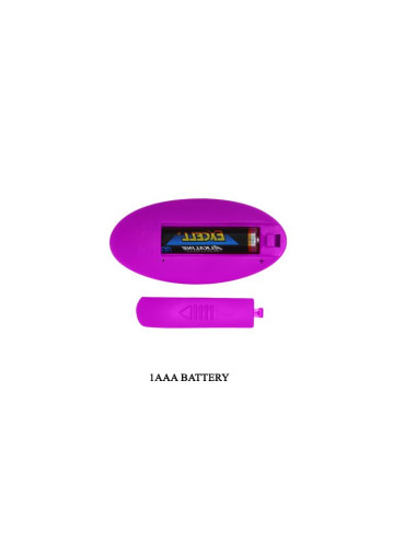 PRETTY LOVE - WILLIE USB remote control 12 function