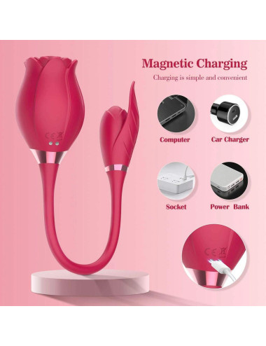 Miss Coyness USB 10 function