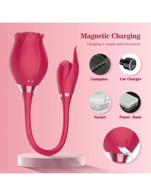 Miss Coyness USB 10 function