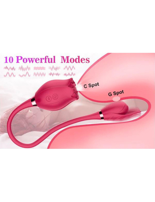 Miss Coyness USB 10 function