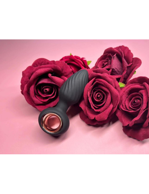 Aisi Rotating Plug