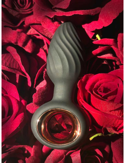 Aisi Rotating Plug
