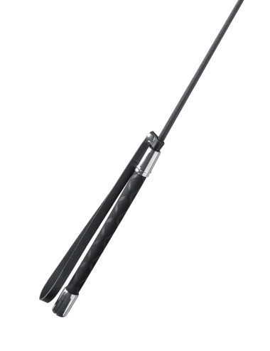 BLACK WHIP