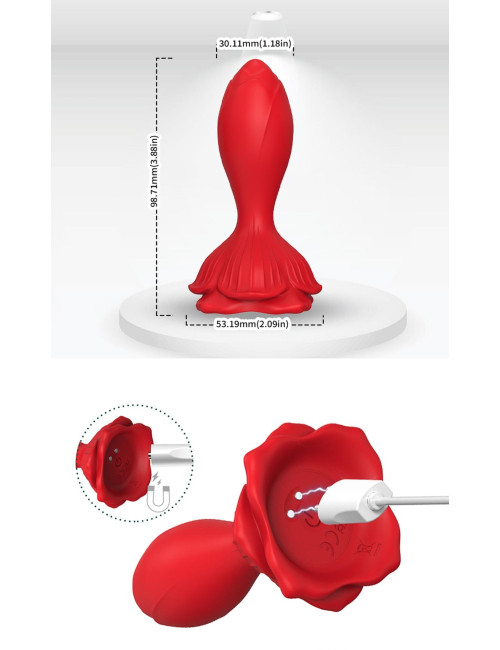 Rosenberg Red, 9 vibration functions