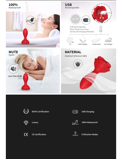 Rosenberg Red, 9 vibration functions