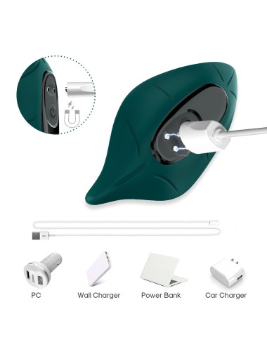 Leavess Green, 9 vibration functions