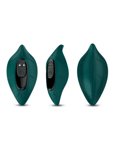 Leavess Green, 9 vibration functions