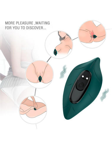 Leavess Green, 9 vibration functions