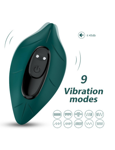 Leavess Green, 9 vibration functions
